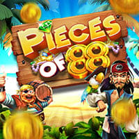 Pieces of 88