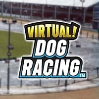 Virtual Dog Racing