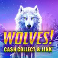 Wolves Cash collect and Link in Slots_OtherGames
