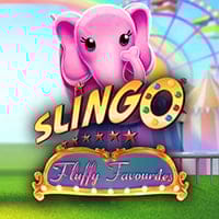 Slingo Fluffy Favourites in Instant_Slingo